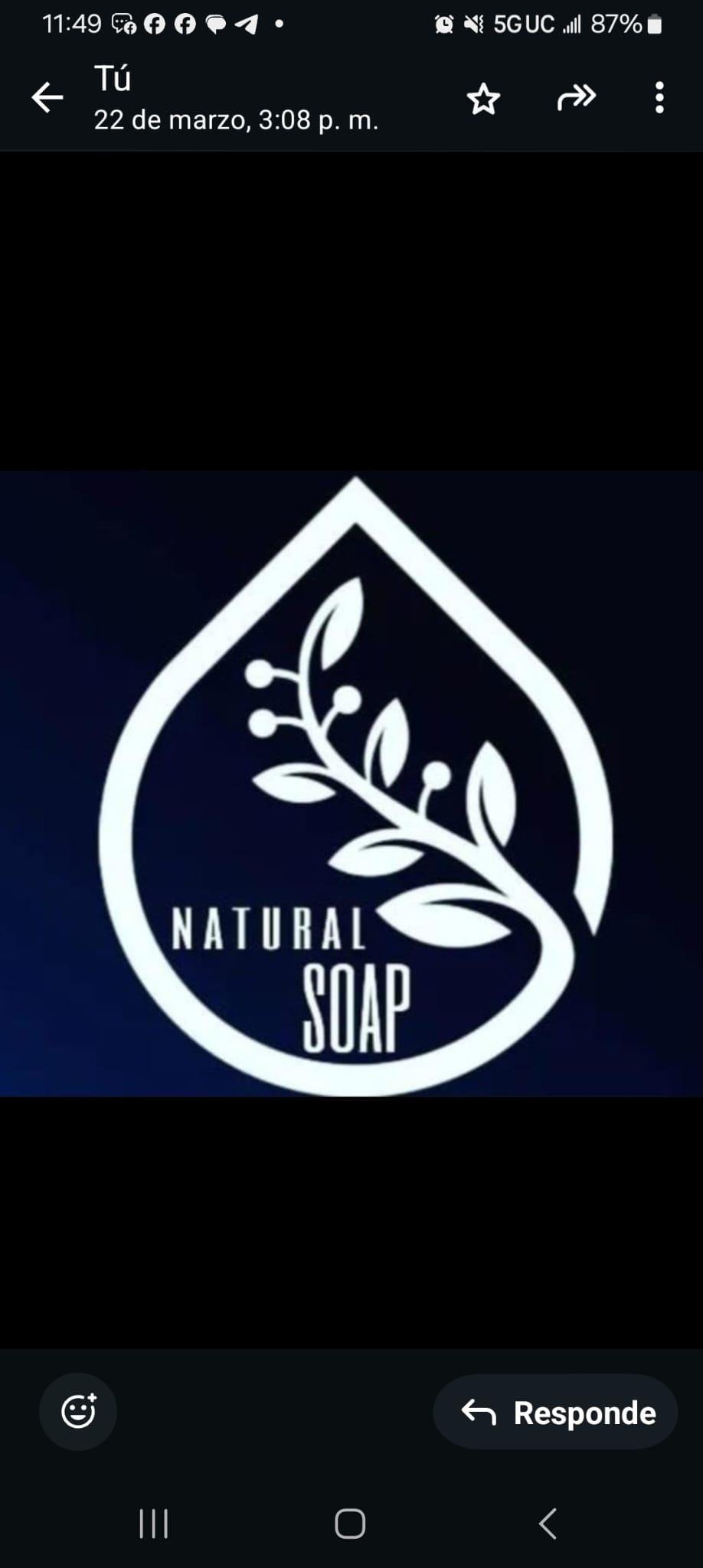 NaturalSoap Logo